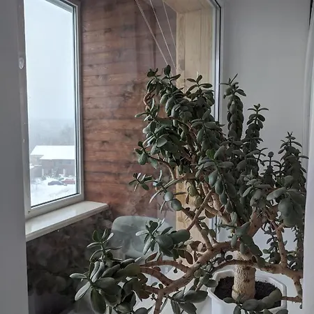Apartment With Balcony On Peremohy Avenue 43 Chernihiv Exterior photo
