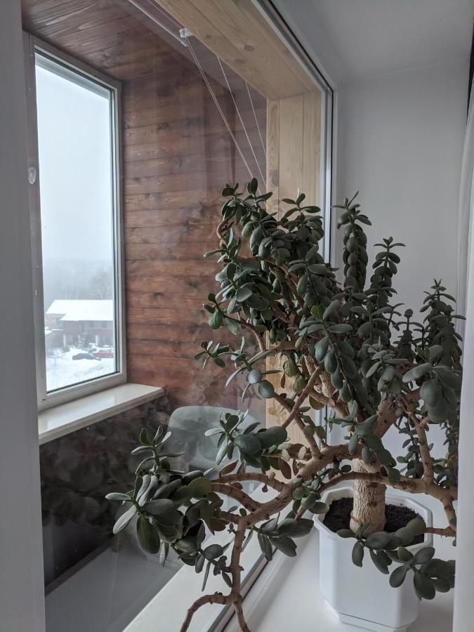 Apartment With Balcony On Peremohy Avenue 43
